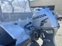 Silver Fox 485 + Honda BF50
