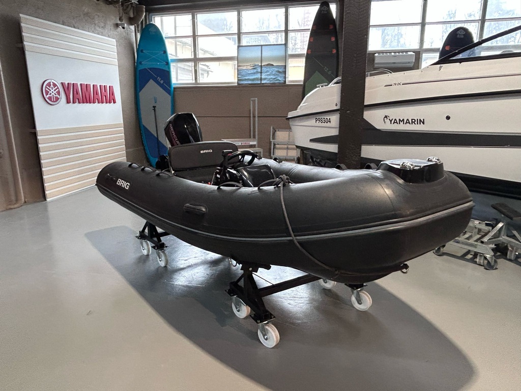Brig F360 + Mercury 20 - 2019