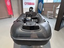 Brig F360 + Mercury 20 - 2019