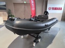 Brig F360 + Mercury 20 - 2019