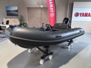 Brig F360 + Mercury 20 - 2019