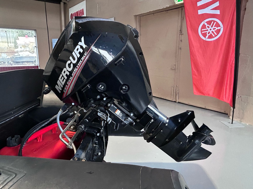 Brig F360 + Mercury 20 - 2019