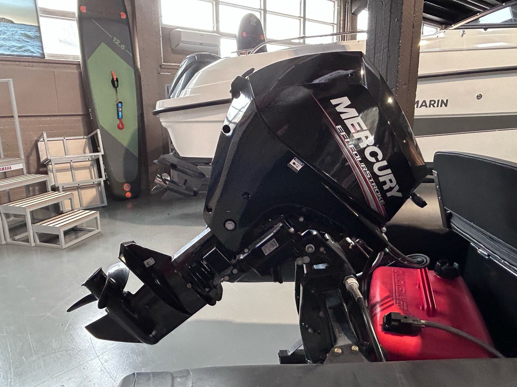 Brig F360 + Mercury 20 - 2019