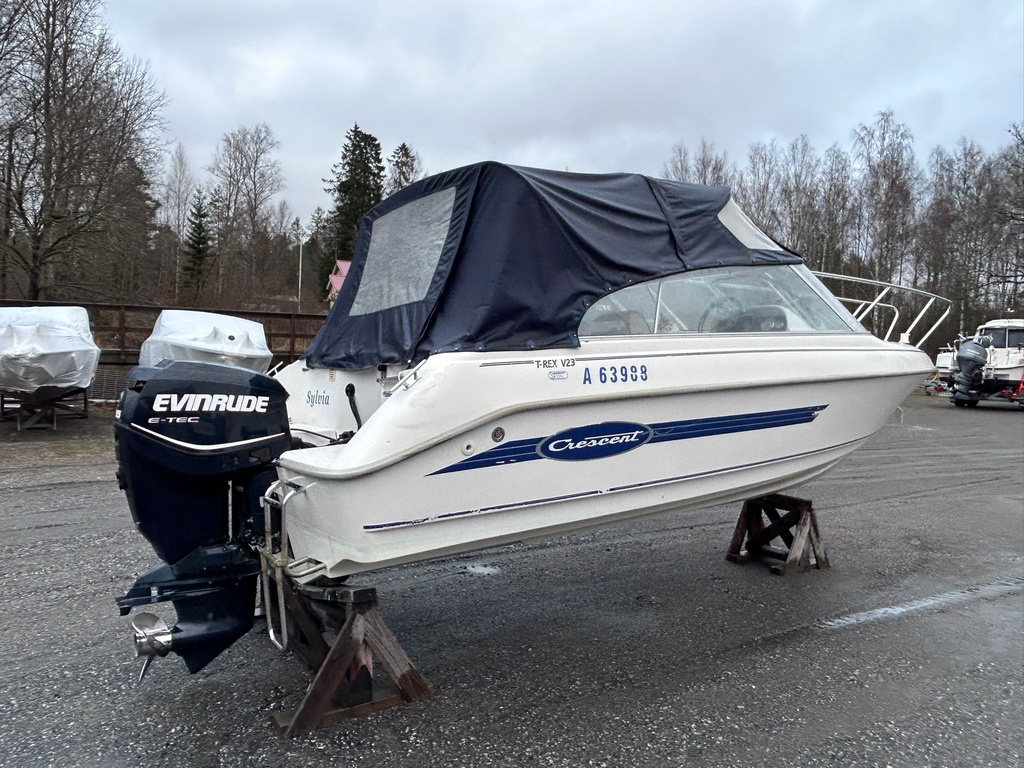 Cresent T-Rex V 23 + Evinrude 115