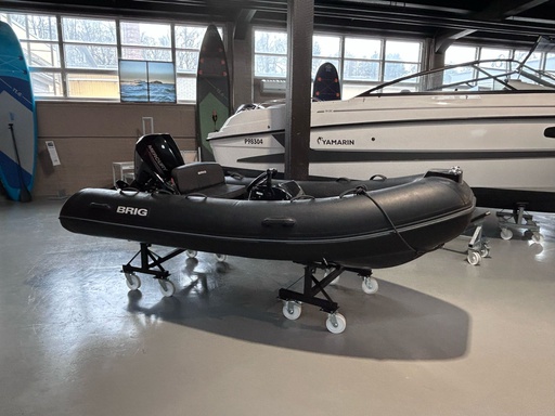 Brig F360 + Mercury 20 - 2019